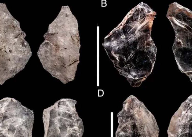 Araştırma: Çağdaş cetlerimiz birbirlerine ‘İsviçre çakısı’ yapmayı öğretti