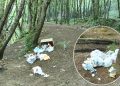 Belgrad Ormanı’nı çöplüğe çevirdiler
