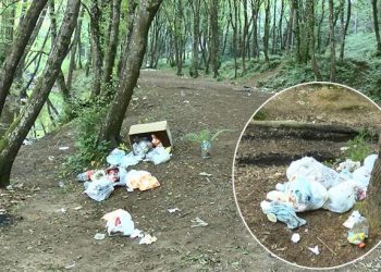 Belgrad Ormanı’nı çöplüğe çevirdiler