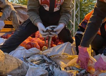 Van’da kaçak avlanan 11 ton inci kefali ele geçirdi