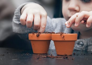 Yaz tatilinde konutta sıkılan çocuklar ve ebeveynleri için eğlenceli aktiviteler