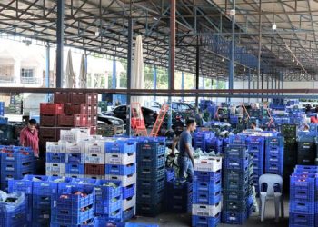 Zerzevat fiyatlarında gerileme! 30 TL’den 3 TL’ye düştü