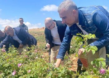 Berdan Mardini: Küresel bir şirket olmak tek gayem