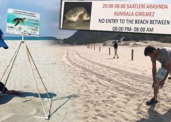 Caretta caretta yasağı! 3 kıyıya gece girmenin cezası 109 bin TL