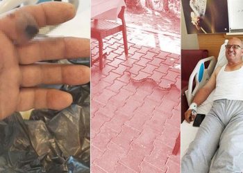 Elini sokan yılanı poşete koyup hastaneye götürdü! “Bu karar hayatımı kurtardı”