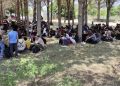 İki kentte operasyon! 265 sistemsiz göçmen yakalandı
