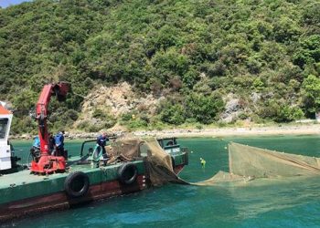 İstanbul Boğazı’ndaki kaçak dalyanlar kaldırıldı!