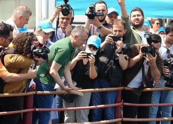 İzmit Körfezi’ne 6 bin balık daha bırakıldı