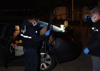 Kediye ‘gel oğlum’ dedi, çıkan arbede vefatla bitti