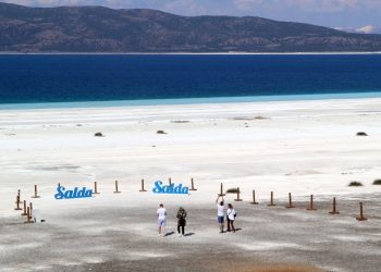 Salda Müdafaa Derneği: Göle girmek büsbütün yasaklansın