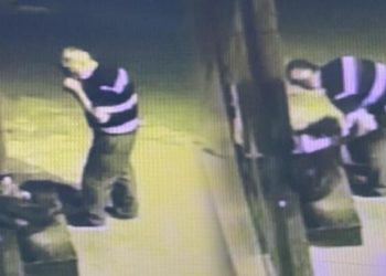 Tadına baktığı çileği kasasıyla birlikte çaldı! ‘Faturasını bize bırakmış’