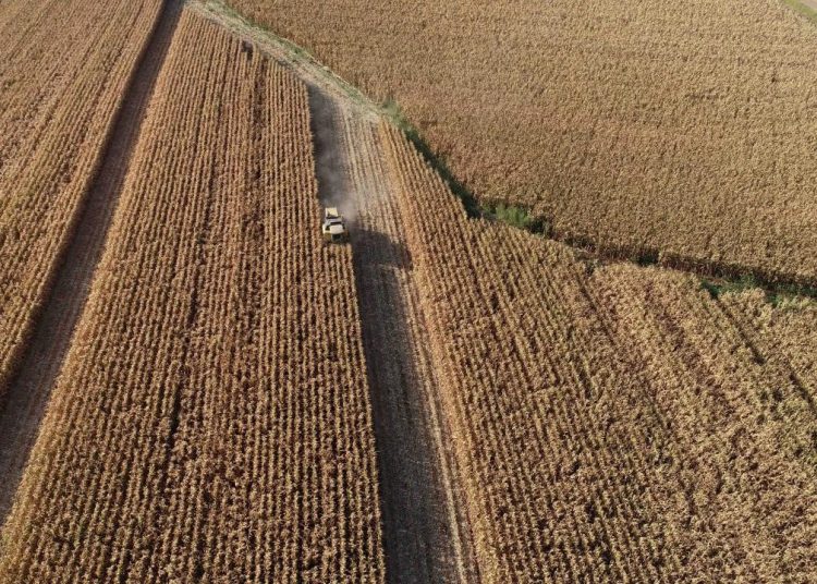 Ziraî üretim enflasyonu: 2020 Nisan yüzde 7,6, 2022 Nisan yüzde 117