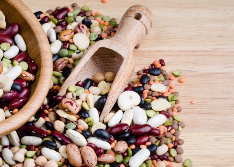 Hücreleri koruyan muhteşem kahraman