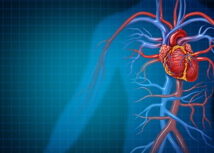 Kan dolaşımınızı bu türlü hızlandırın