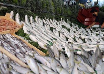 Mart ayının sağlık için en faydalı balıkları