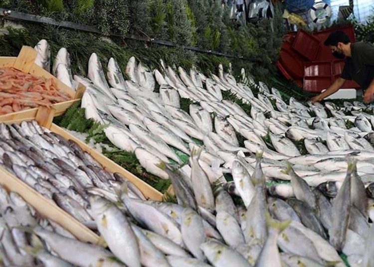 Mart ayının sağlık için en faydalı balıkları