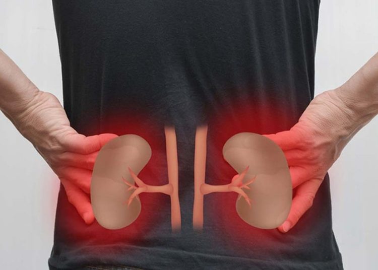 Böbreklerinizi yavaş yavaş tüketen 7 alışkanlık: Herkes düzenli yapıyor…