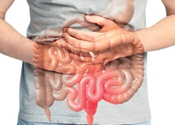 Hastalıkların kökeni bağırsaklarda