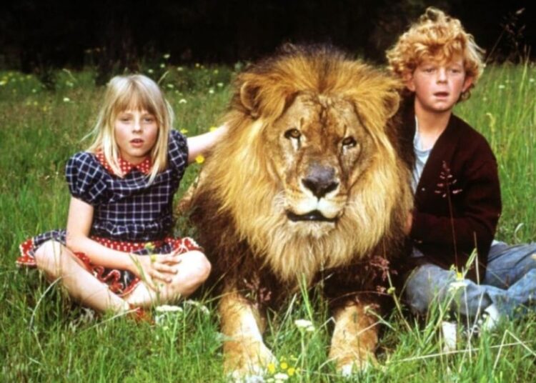 İki Oscarlı oyuncudan fecî itiraf: ‘Film setinde aslan beni ağzına alıp salladı’