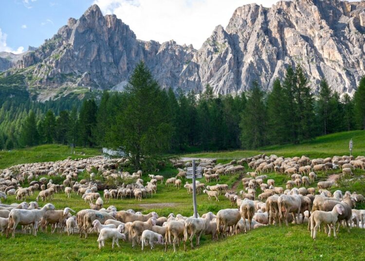 Şaşırtan keşif: Ömrü yüzde 10 uzatıyor