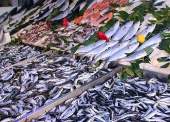 Somon ve uskumrudan hem daha ucuz hem daha sağlıklı balık