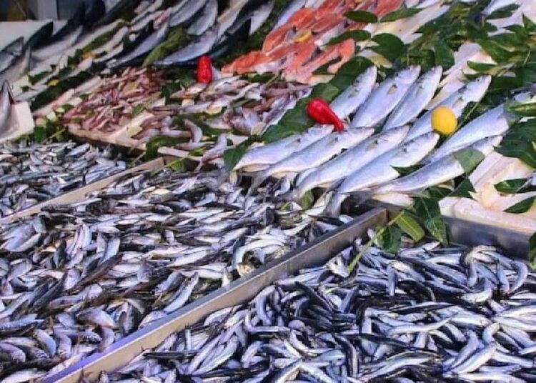 Somon ve uskumrudan hem daha ucuz hem daha sağlıklı balık