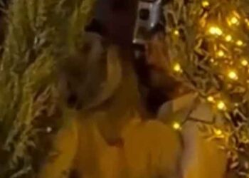 Taşacak Bu Deniz’in yıldızı Bebek’te  İrem Haznedar ile yakalandı